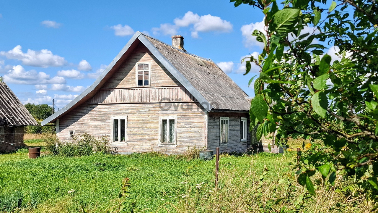 2524163_dom-na-uyutnom-khutore-u-khvoynogo-lesa-pod-pskovskimi-pechorami-6-ga-zemli.jpg