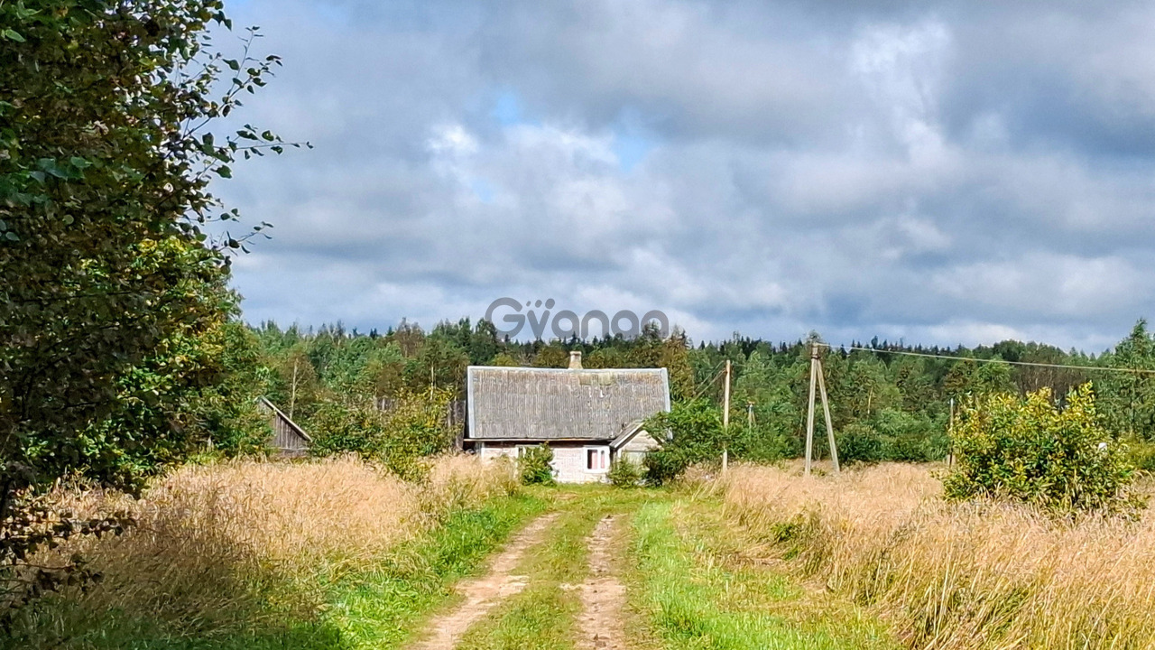 2524164_dom-na-uyutnom-khutore-u-khvoynogo-lesa-pod-pskovskimi-pechorami-6-ga-zemli.jpg