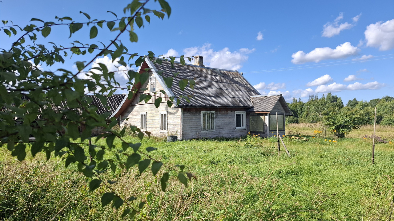 2524166_dom-na-uyutnom-khutore-u-khvoynogo-lesa-pod-pskovskimi-pechorami-6-ga-zemli.jpg