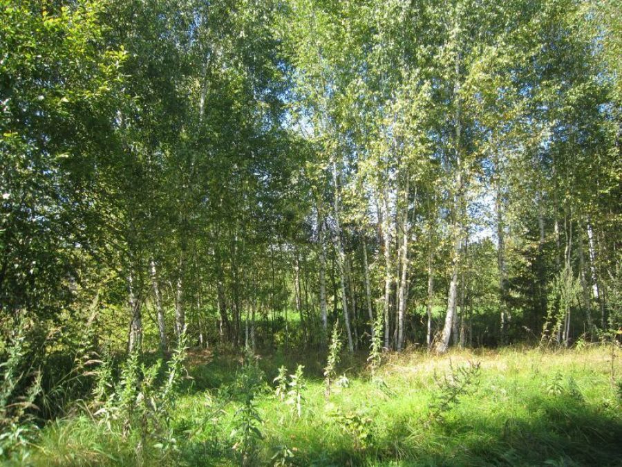 Купить Земельный Участок В Тверской Области