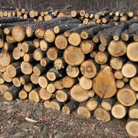 Продам дрова акация метровки