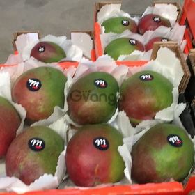 Продаем манго из Испании