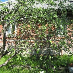 Продается дом с участком 2-ком 40 м² ул. Школьная,2
