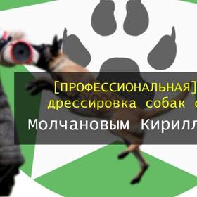 Профессиональная дрессировка собак в Николаеве