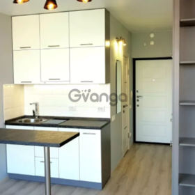 Сдается в аренду квартира 1-ком 21 м² Соборности, метро Левобережная