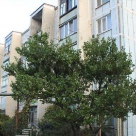 Продается квартира 1-ком 36 м² ул. Островского, 135