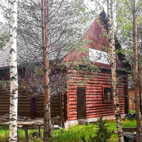 Бревенчатый дом в сказочном хвойном лесу у живописного озера