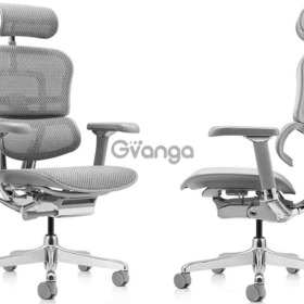 Надежное кресло компьютерное Ergohuman Luxury 2 Grey с доставкой