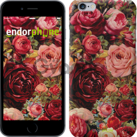 Чехол на iPhone 7 Цветущие розы 