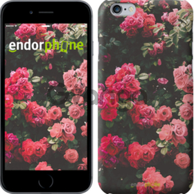 Чехол на iPhone 7 Куст с розами 