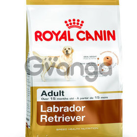 Royal Canin Лабрадор ретривер старше 15 месяцев 12кг