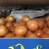 Продаем томаты из Испании