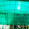 Сотовый поликарбонат Polygal PolyShade green(Израиль) 8 мм.