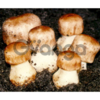 Мицелий шампиньона бразильского - качественная зерновая грибница агарика бразильского с гарантией всхожести!