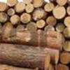 Предлагаем дрова круглые, уложенные с доставкой в Киеве и области