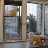 Балкончик для кошки на окно. "Броневик" Днепр.