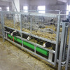 Стійлове обладнання для утримання кіз та овець