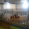 Стійлове обладнання для ферм ВРХ та інших тваринницьких комплексів