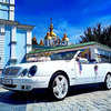 113 Аренда Mercedes W208 clk кабриолет прокат Киев