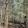 Продается дом 2-ком 80.1 м² снт Урожай,89а