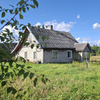 Дом на уютном хуторе у хвойного леса под Псковскими Печорами, 6 Га. земли. 4