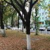 Продается квартира 3-ком 54.1 м² Ленина пр-кт.,8 4