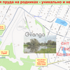 Продается участок 6 сот снт Урожай, 5 клин,49а 3