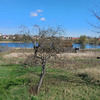 Продаж земельної ділянки 18 сот, с.Тарасівка, поруч з озером 3