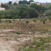 Продается Земельный Участок площадью 5500 кв.м. в Пафосе, Кипр