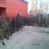 Продается дом с участком 240 м²