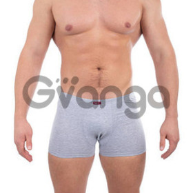 Чоловічі труси світло-сірого кольору ТМ "BONO" (арт. МШ 950119)