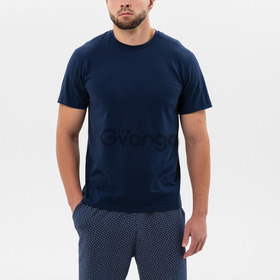 Комплект чоловічої піжами "Summit" (16614) (арт. 1211)