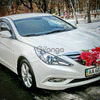 166 Hyundai Sonata біла New оренда авто з водієм
