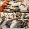 Рибний цех для переробки 1000 кг