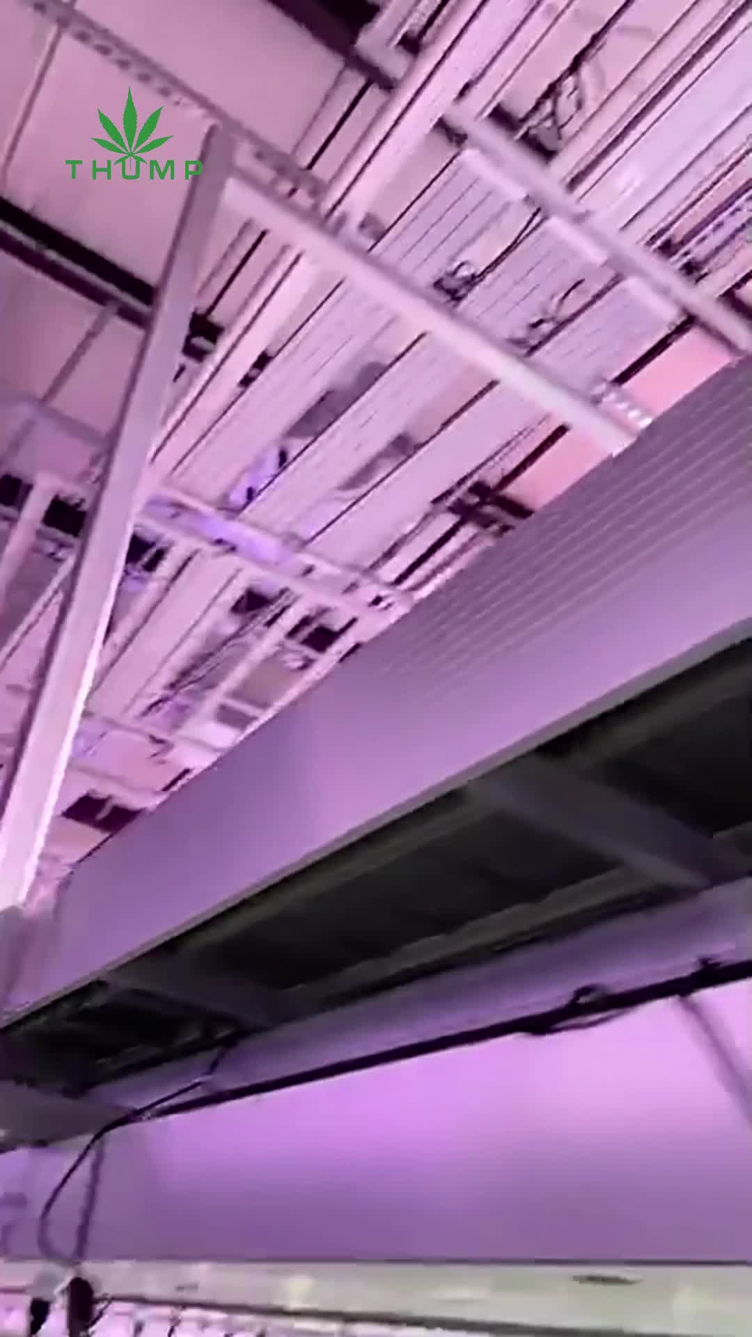 Mobile Vertical Grow Rack System